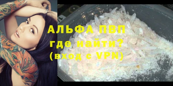 прущие крисы Алзамай