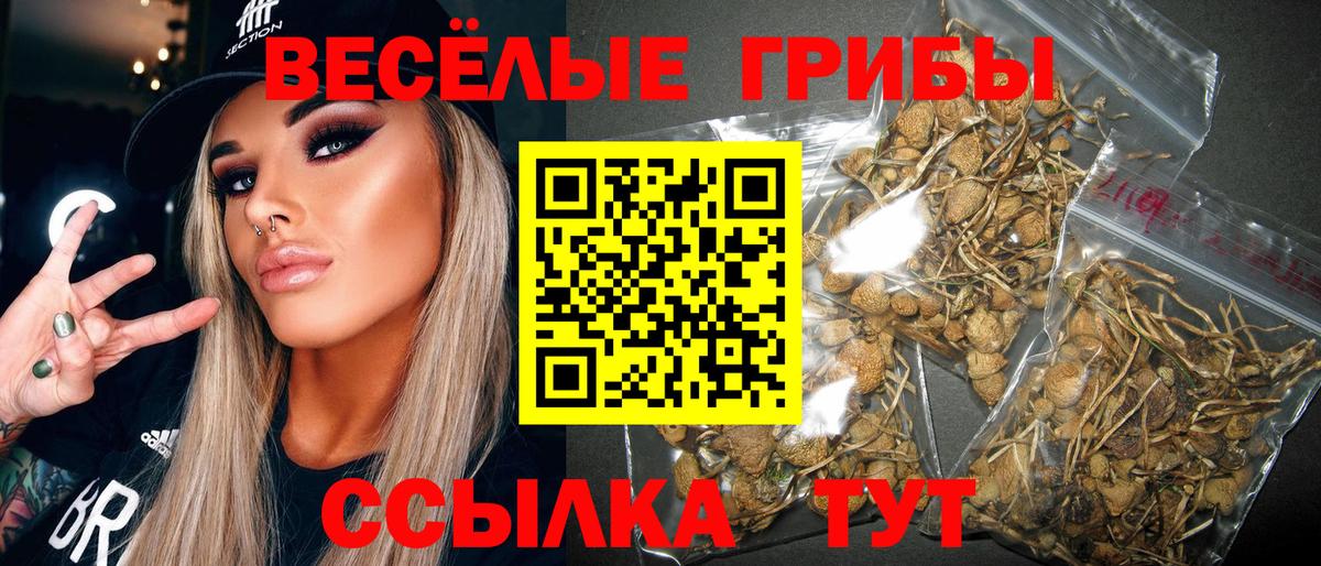 Миасс  Галлюциногенные грибы ЛСД  Вход с VPN 